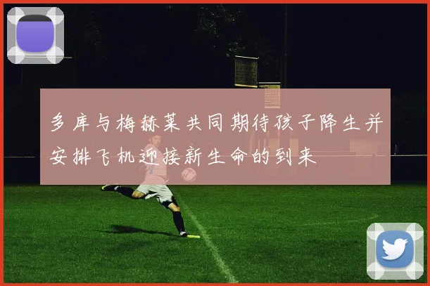 多库与梅赫莱共同期待孩子降生并安排飞机迎接新生命的到来
